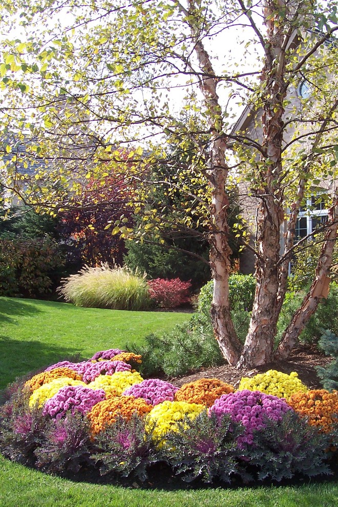 Foto di un giardino classico esposto a mezz'ombra di medie dimensioni e davanti casa in autunno