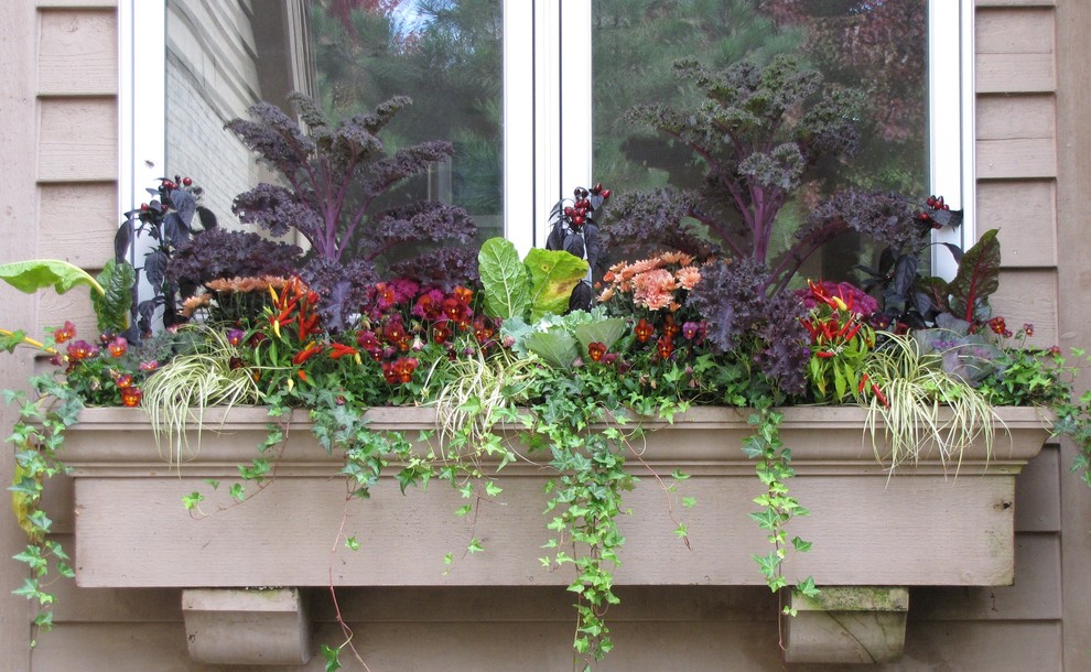 Photo of a medium sized traditional side partial sun garden for autumn in Chicago with a potted garden.