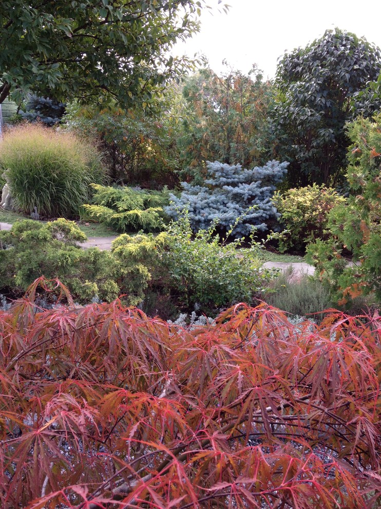 Ejemplo de camino de jardín clásico de tamaño medio en verano en patio lateral con jardín francés, exposición total al sol y mantillo