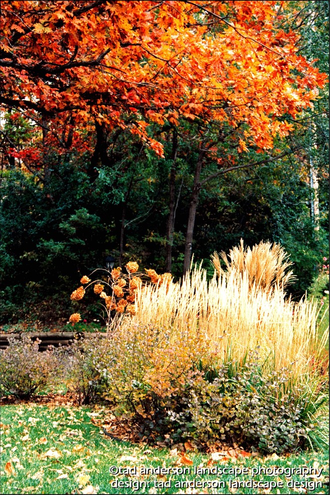 Esempio di un giardino boho chic esposto a mezz'ombra davanti casa in autunno
