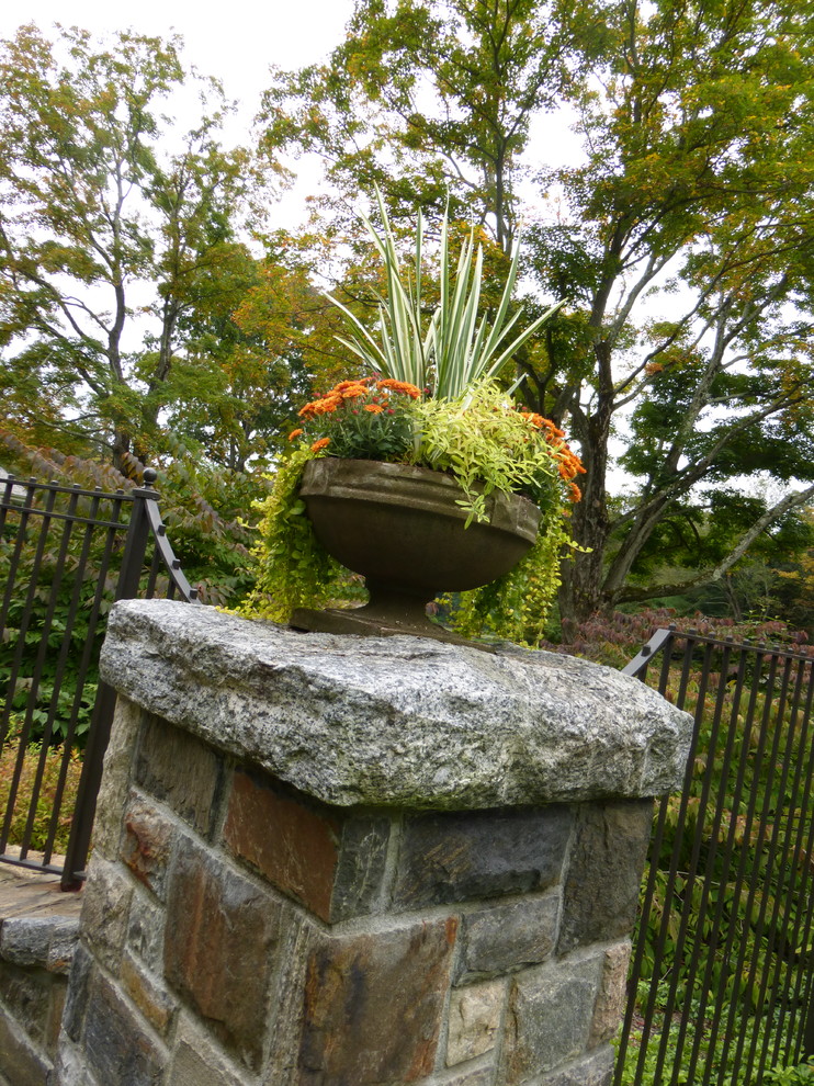 Foto di un giardino formale chic esposto in pieno sole di medie dimensioni in autunno con un giardino in vaso