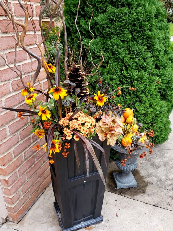 Idee per un vialetto d'ingresso esposto a mezz'ombra di medie dimensioni in autunno con un giardino in vaso