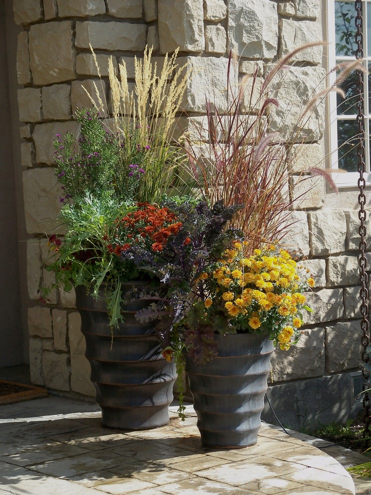 Идея дизайна: маленький осенний участок и сад на переднем дворе в стиле фьюжн с растениями в контейнерах и полуденной тенью для на участке и в саду