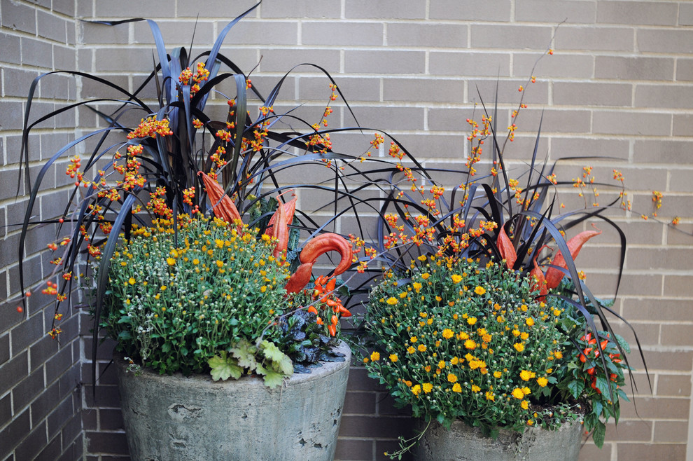 Ispirazione per un piccolo giardino chic esposto a mezz'ombra davanti casa in autunno con un giardino in vaso