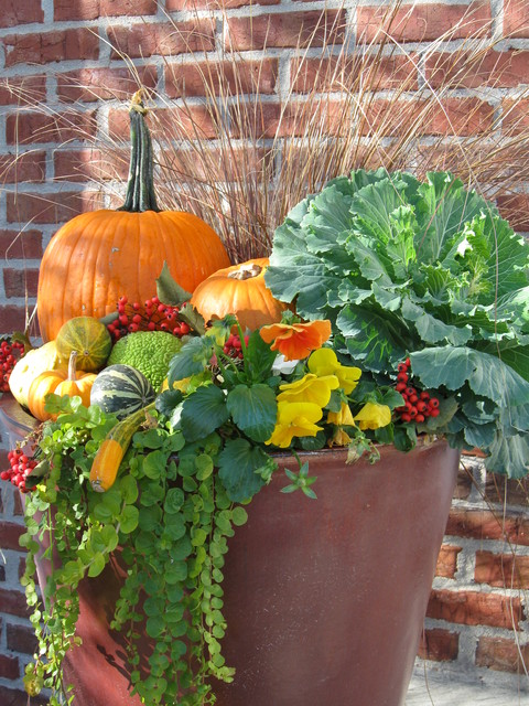 Fall Containers - Country - Garden - Omaha - by Greenlife ...