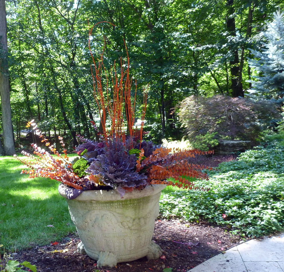 Foto di un piccolo giardino tradizionale esposto a mezz'ombra davanti casa in autunno con un ingresso o sentiero e pacciame