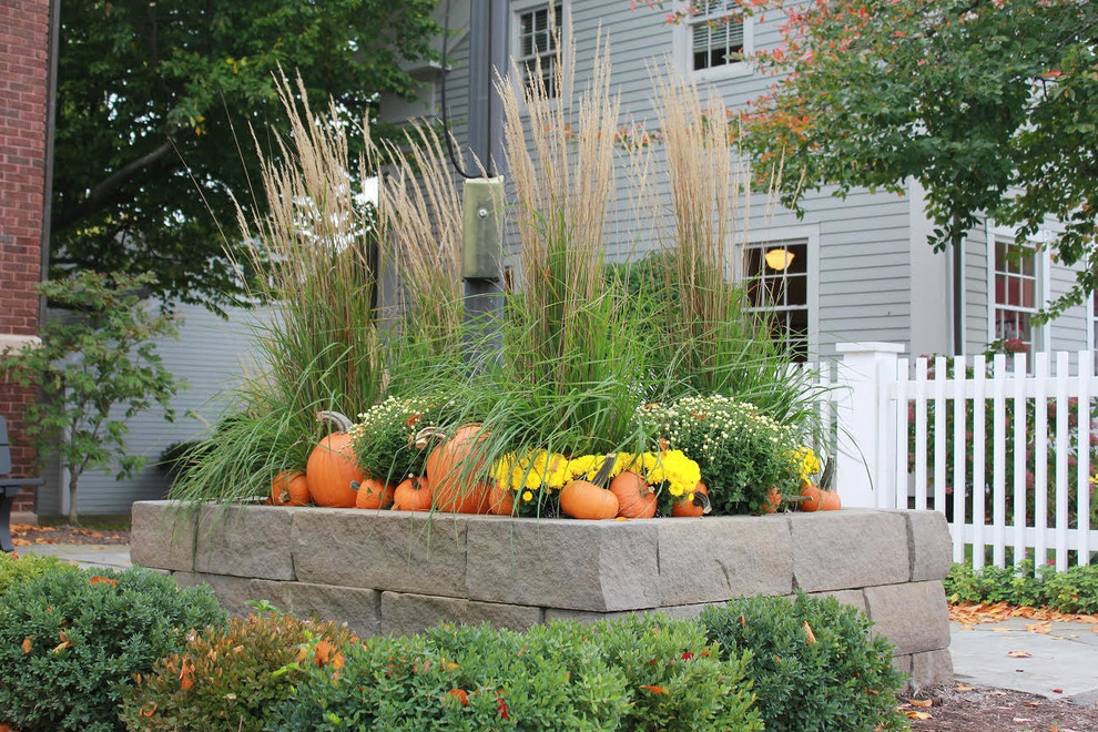 Medium sized classic back full sun garden for autumn in Other with a retaining wall.
