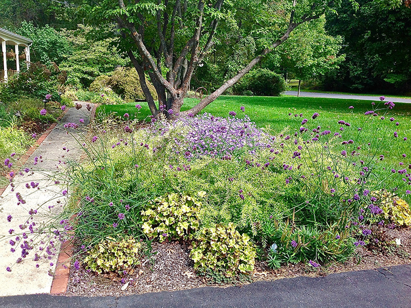 Idee per un giardino contemporaneo esposto a mezz'ombra di medie dimensioni e davanti casa in autunno con pacciame