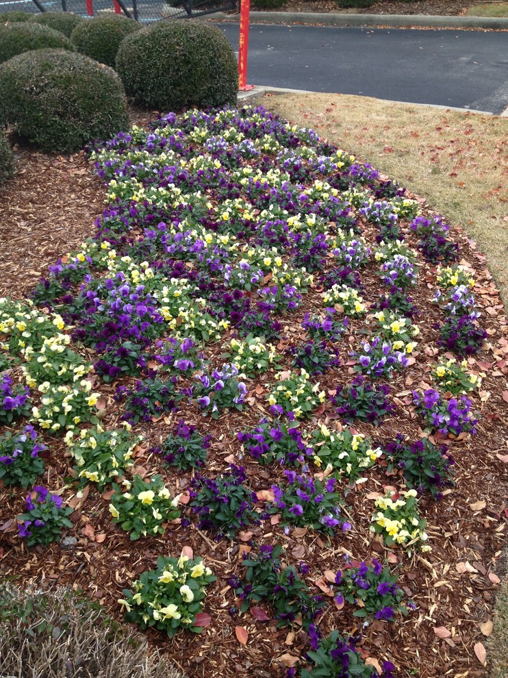 Fall Flowers Traditional Landscape Birmingham by Blackjack