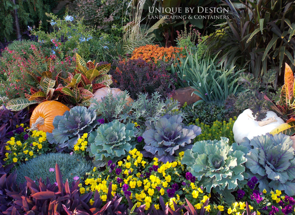Imagen de jardín clásico en otoño en patio delantero con exposición total al sol