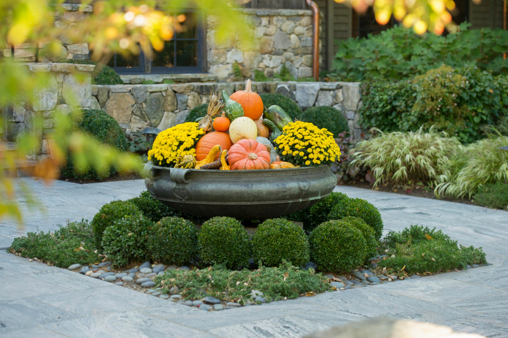 Ispirazione per un giardino design dietro casa in autunno con un giardino in vaso
