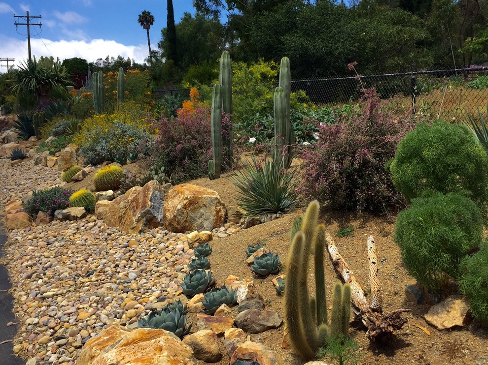 サンディエゴにあるサンタフェスタイルのおしゃれな庭 (ゼリスケープ) の写真