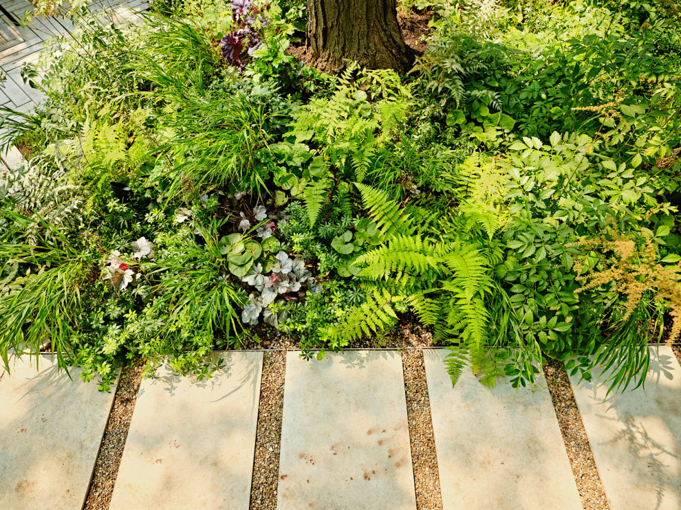 Источник вдохновения для домашнего уюта: маленький весенний регулярный сад на заднем дворе в современном стиле с водопадом, полуденной тенью и покрытием из каменной брусчатки для на участке и в саду