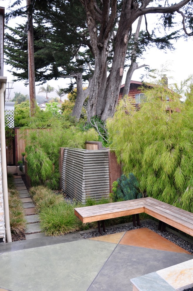 Design ideas for a contemporary garden in San Luis Obispo.