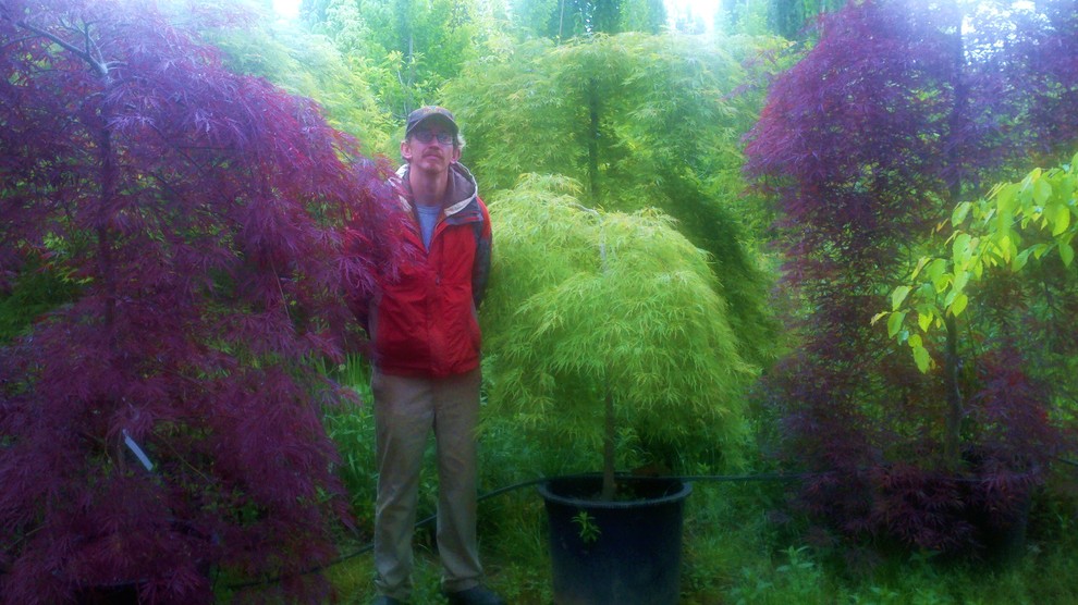 ポートランドにあるエクレクティックスタイルのおしゃれな庭の写真