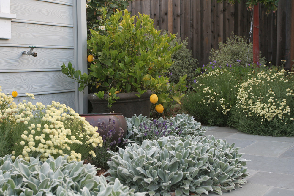 Источник вдохновения для домашнего уюта: участок и сад на переднем дворе в классическом стиле с растениями в контейнерах