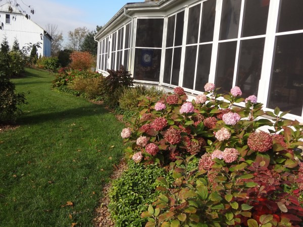 Design ideas for a medium sized farmhouse sloped full sun garden for autumn in Cleveland.