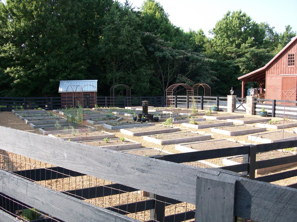 Cette image montre un grand jardin arrière rustique l'été avec une exposition ensoleillée et un paillis.