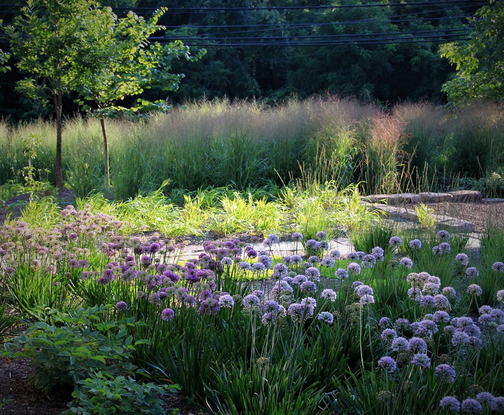 Foto di un giardino country esposto in pieno sole di medie dimensioni e davanti casa con un ingresso o sentiero e pavimentazioni in pietra naturale