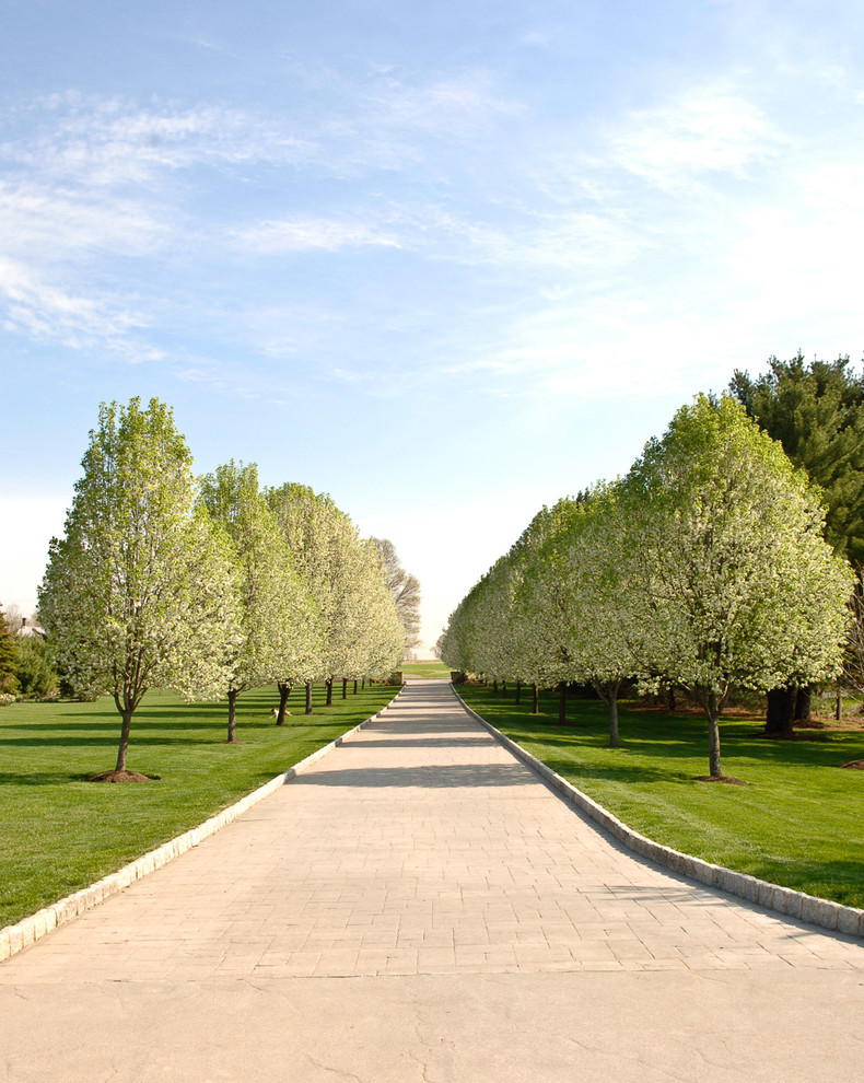 Photo of a rural driveway full sun garden in New York with concrete paving.