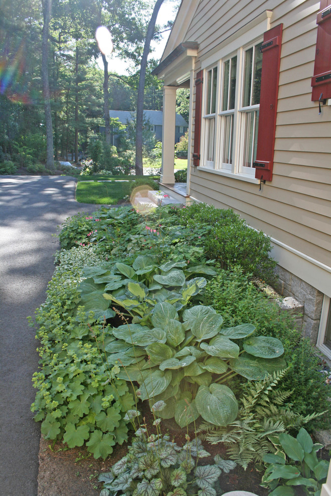 Exemple d'un jardin latéral nature l'été avec une exposition ombragée.