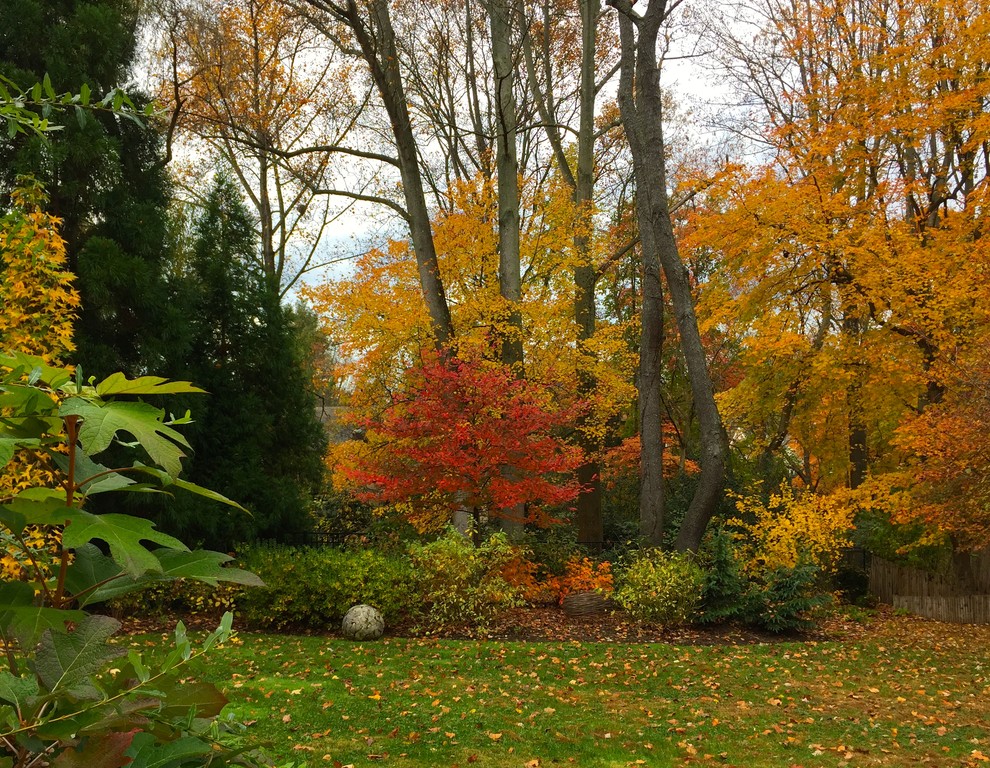 Exempel på en rustik trädgård på hösten, med en trädgårdsgång