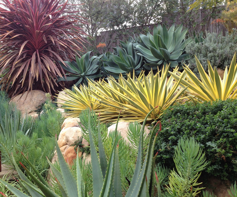 Photo of an eclectic garden in Santa Barbara.