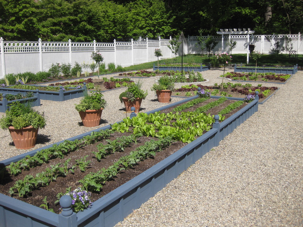 Стильный дизайн: большой летний огород на участке на заднем дворе в классическом стиле с полуденной тенью и покрытием из гравия - последний тренд