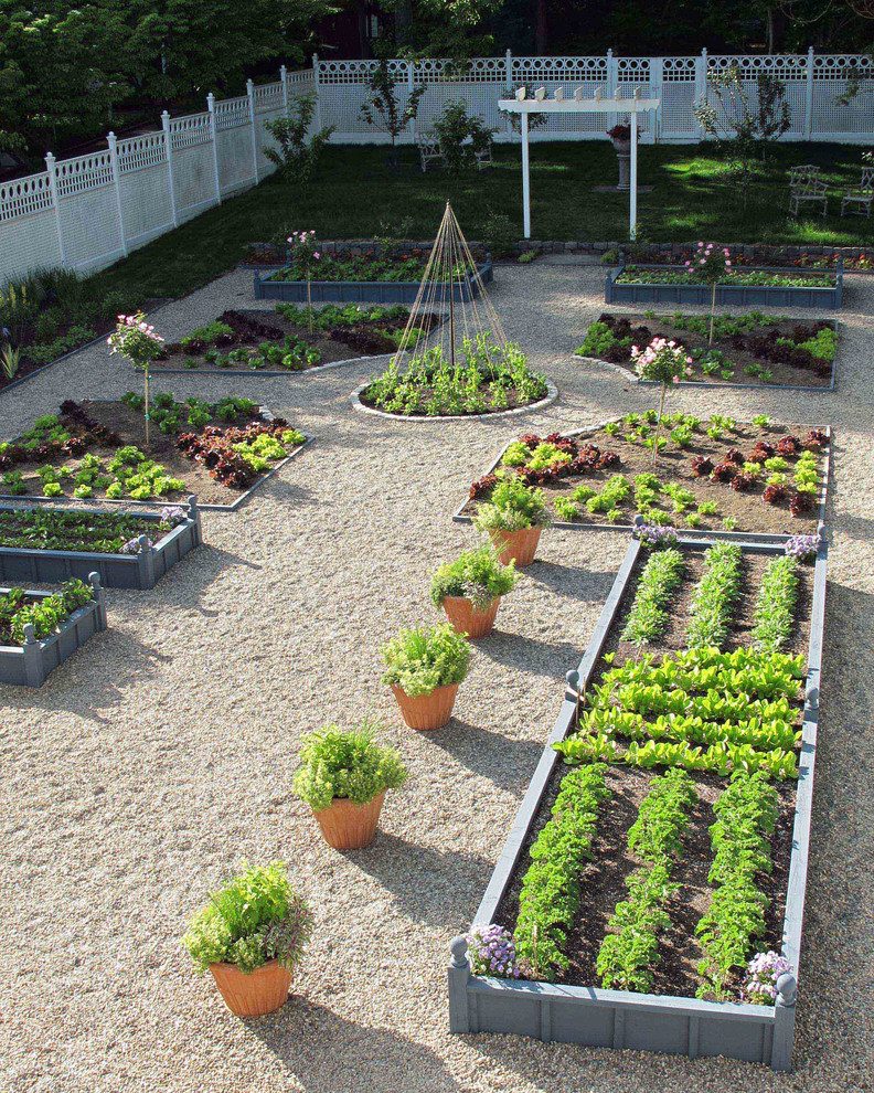 Exemple d'un grand jardin potager arrière chic l'été avec une exposition partiellement ombragée et du gravier.