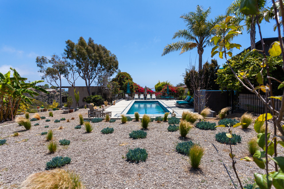 Foto de jardín de secano de estilo americano grande en patio trasero con exposición total al sol y paisajismo estilo desértico