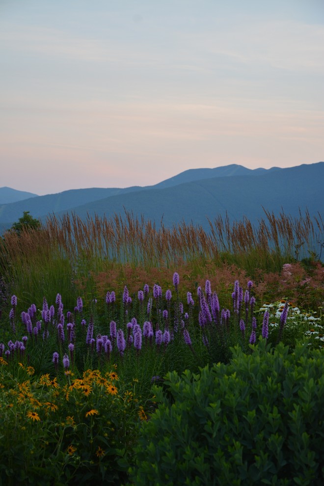 Fayston Fun House Contemporain Jardin Burlington par Broadleaf