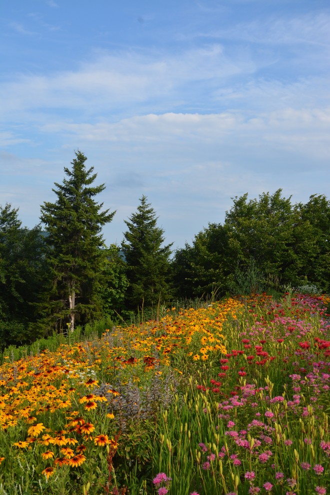 Fayston Fun House Contemporary Landscape Burlington by