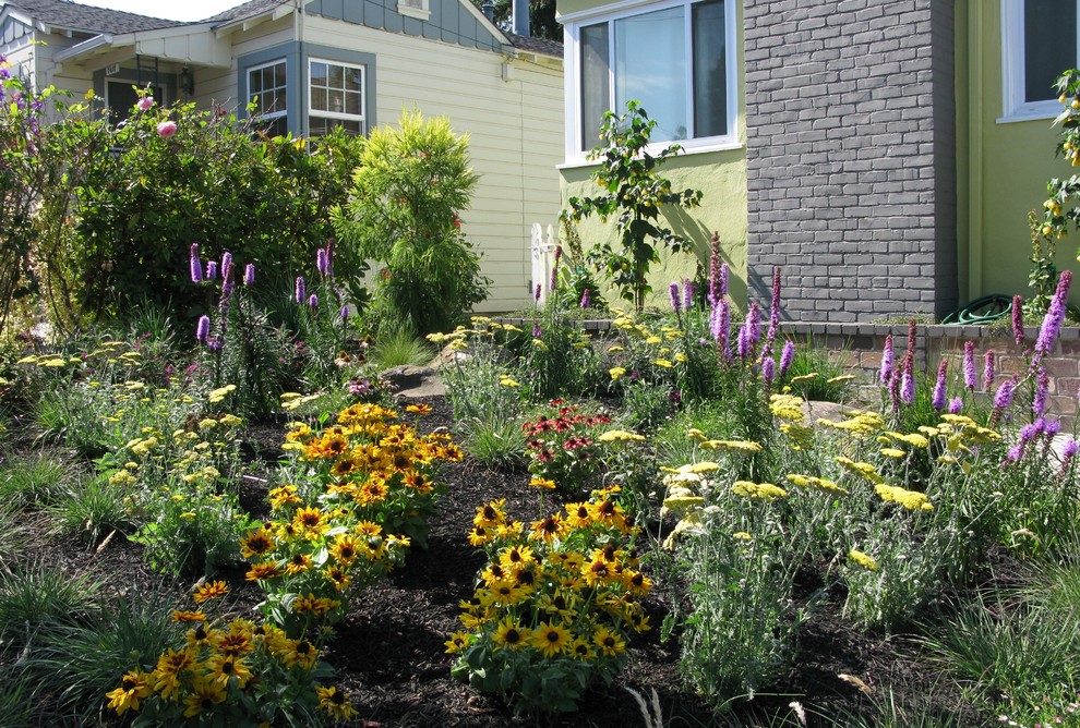 Идея дизайна: участок и сад среднего размера на переднем дворе в стиле кантри