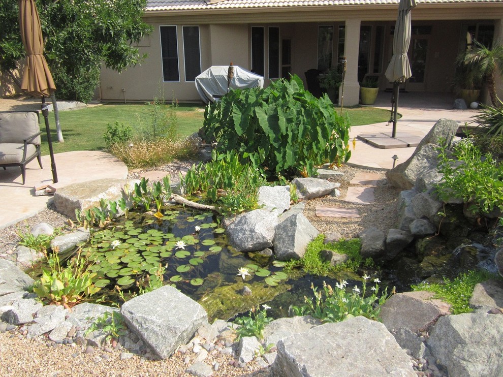 Diseño de jardín mediterráneo de tamaño medio en patio trasero con estanque y exposición total al sol