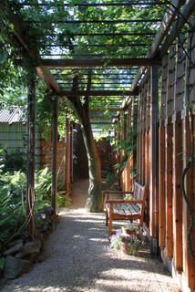 Giardini in ombra - Foto, Idee, Design - Febbraio 2024