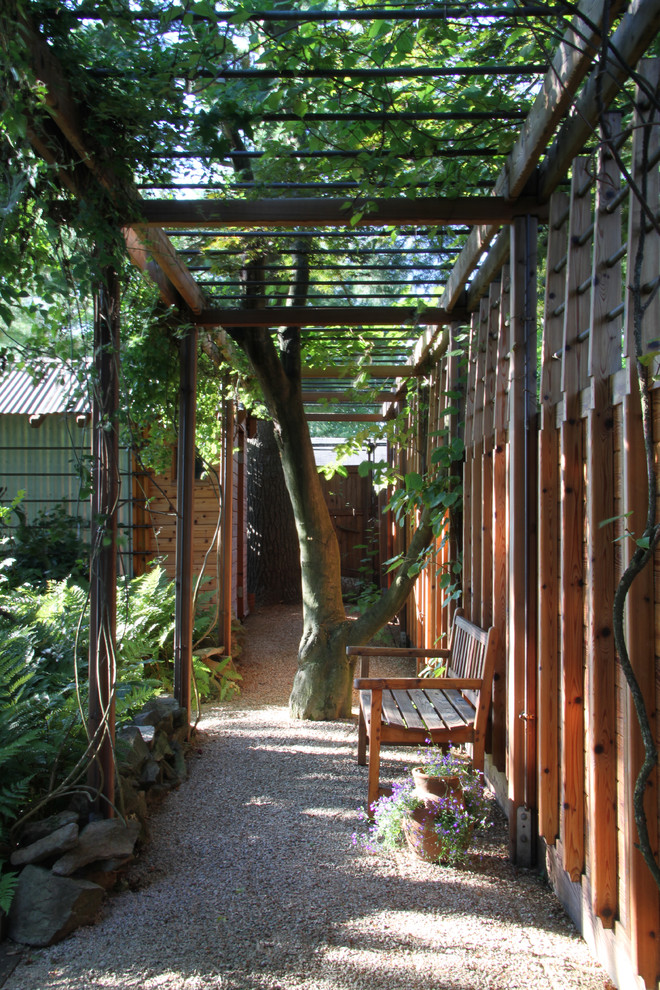 Réalisation d'un petit jardin design l'été avec du gravier et une exposition ombragée.