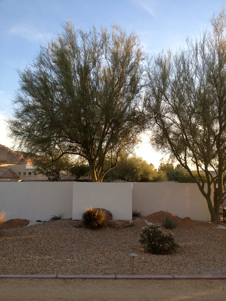 Design ideas for a modern front xeriscape garden in Phoenix with gravel.