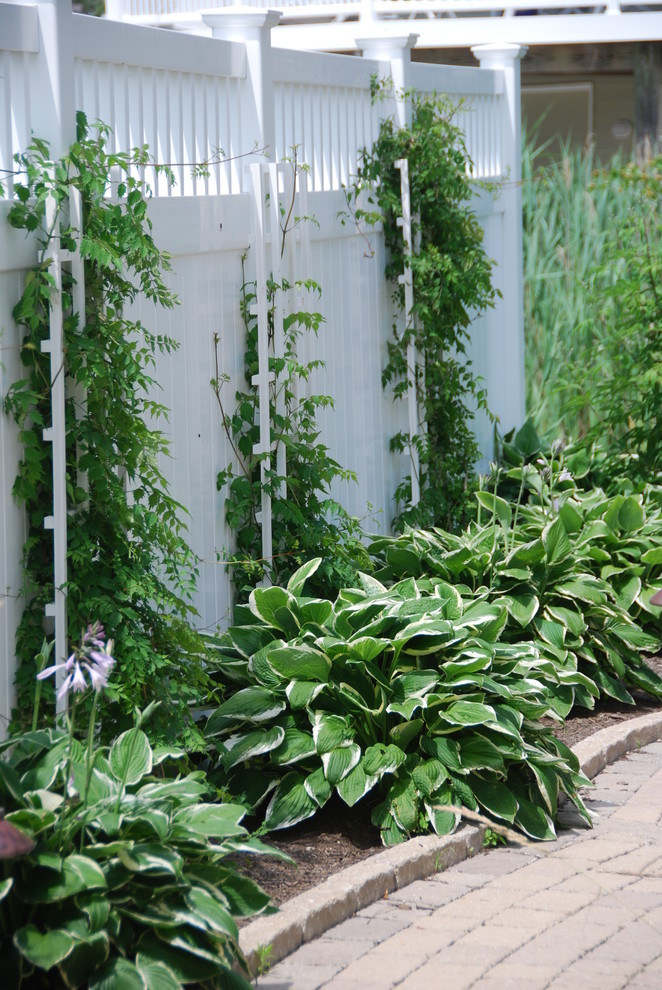 Halbschattige Maritime Pflanzenwand im Sommer, neben dem Haus mit Betonboden in New York