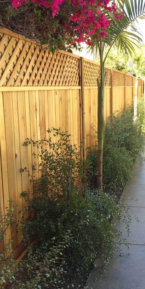 Geometrischer, Mittelgroßer Moderner Garten hinter dem Haus mit Kübelpflanzen, direkter Sonneneinstrahlung und Mulch in Los Angeles