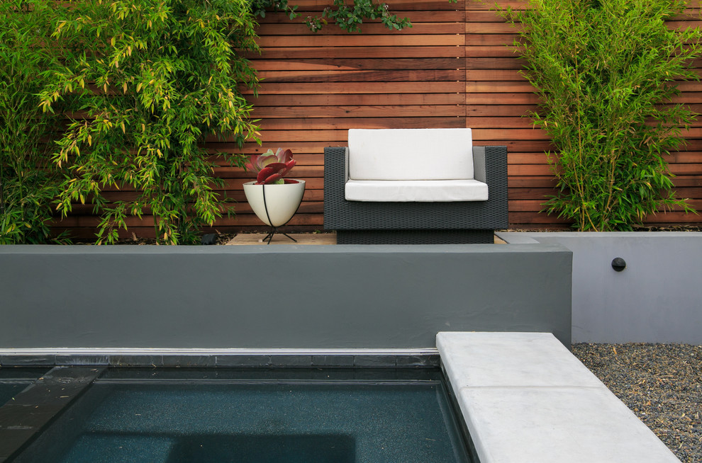 Photo of a mid-sized modern backyard landscaping in San Francisco.