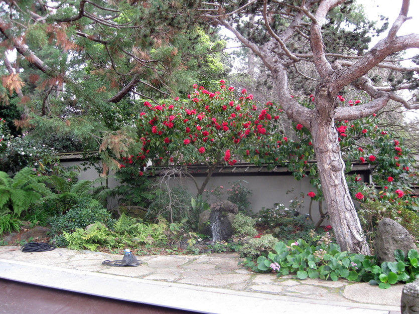 Immagine di un giardino formale etnico esposto a mezz'ombra di medie dimensioni e dietro casa con pavimentazioni in pietra naturale