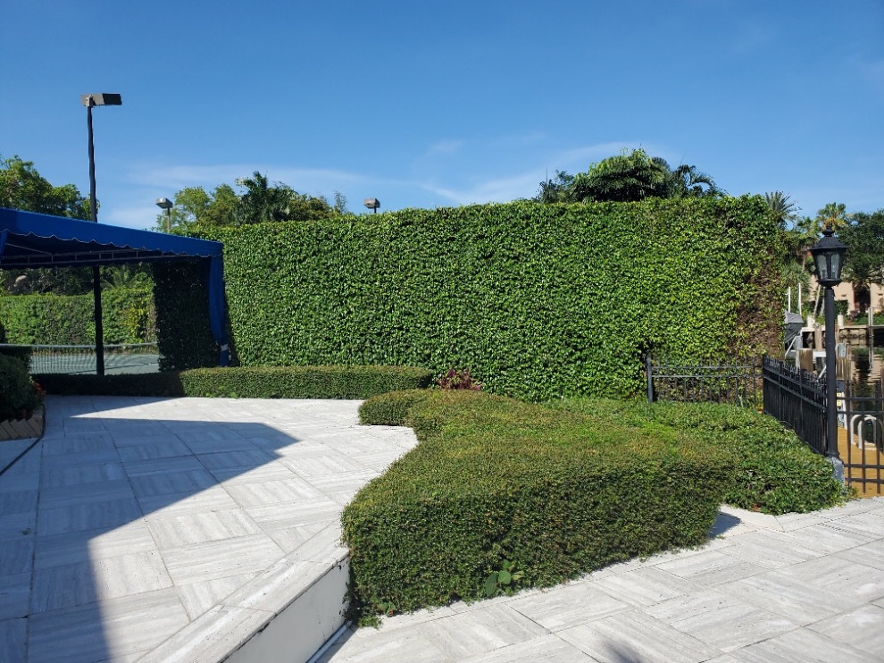 Mittelgroßer Moderner Garten hinter dem Haus mit Sichtschutz, direkter Sonneneinstrahlung und Mulch in Miami