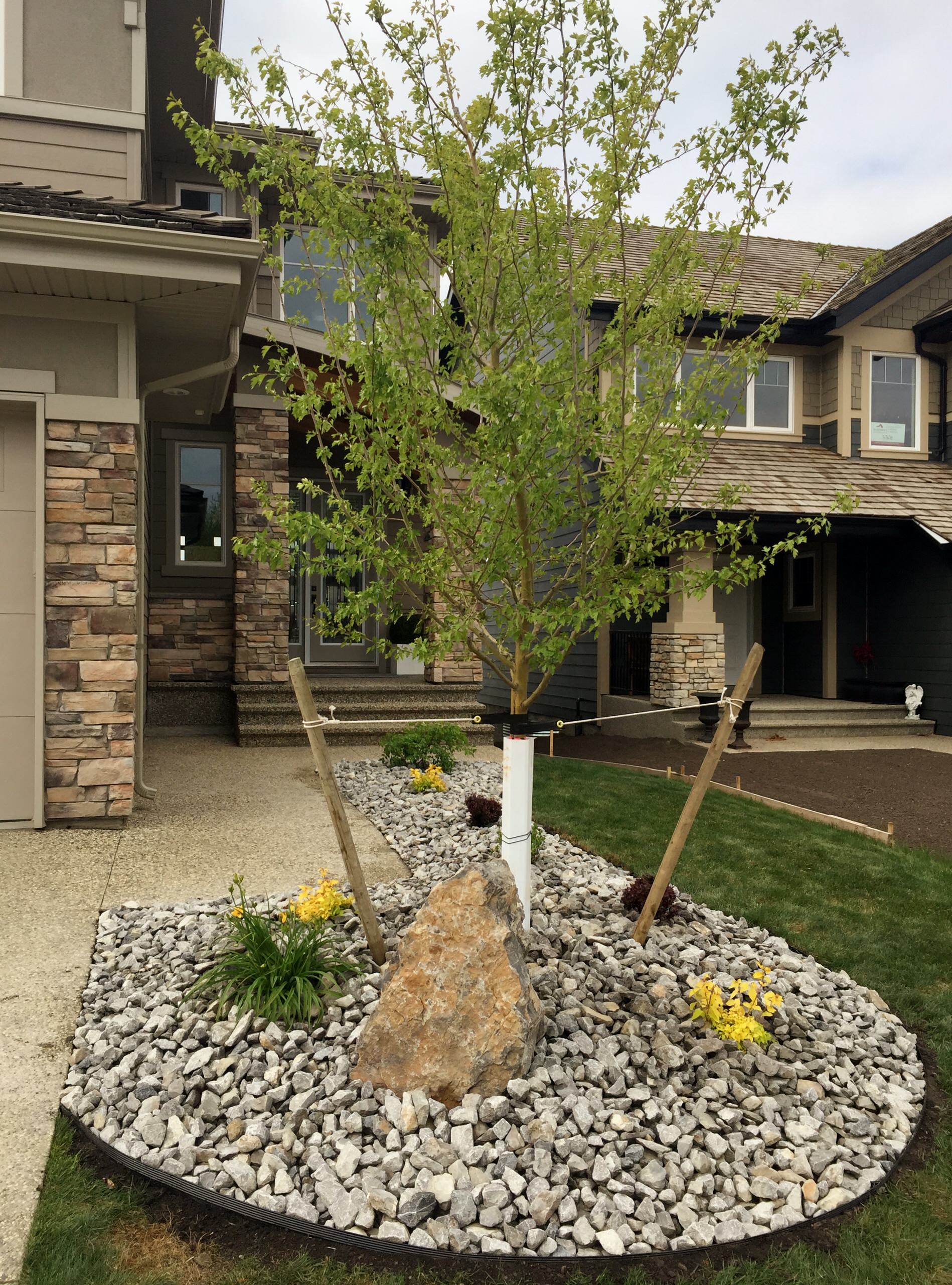 Fidyk Residence Cameron Heights In Edmonton Contemporary Landscape Edmonton By Mohr S Landscaping Services Houzz
