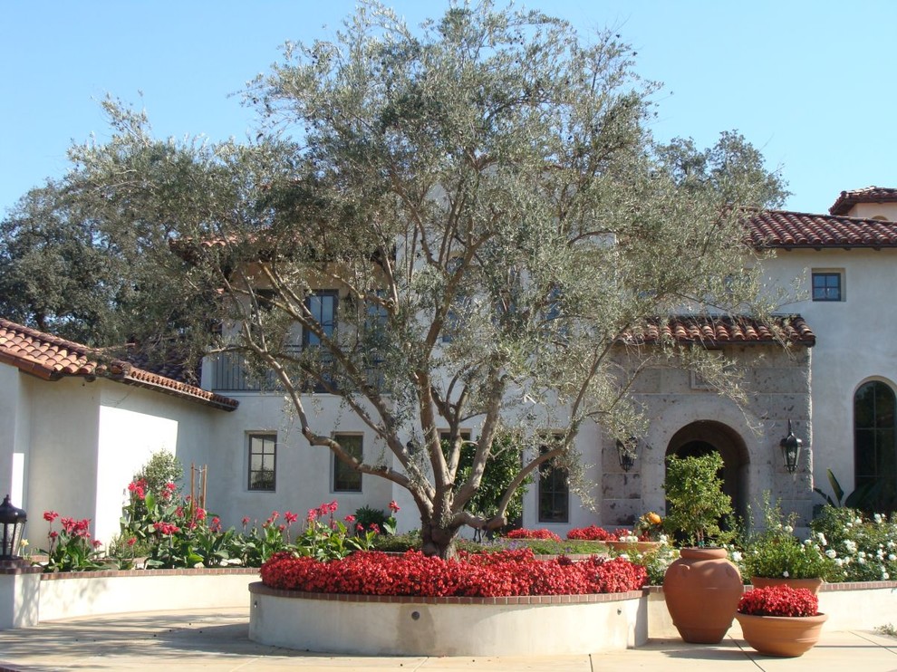Inspiration for a mediterranean courtyard landscaping in Other.