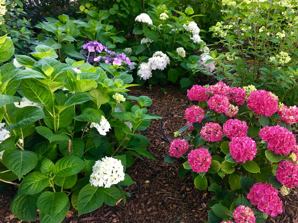 This is an example of a mid-sized transitional partial sun backyard landscaping in Chicago for summer.