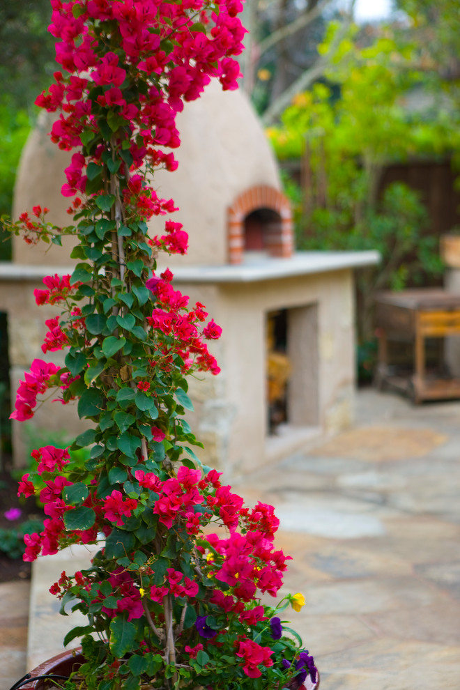 This is an example of a mediterranean garden in San Francisco.