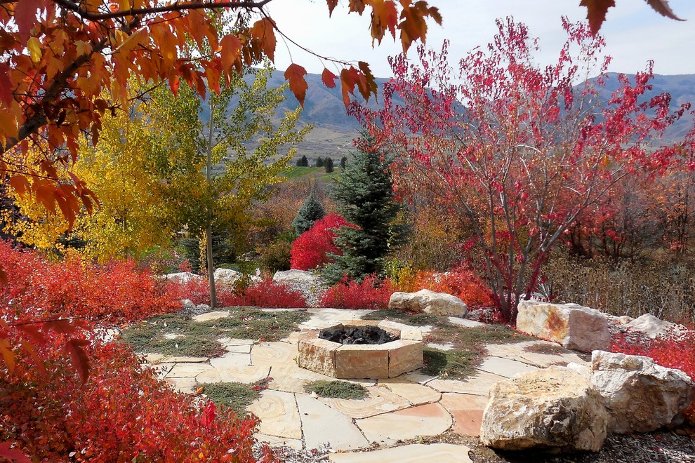 Immagine di un giardino xeriscape stile rurale esposto in pieno sole di medie dimensioni e dietro casa in autunno con un focolare e pavimentazioni in pietra naturale