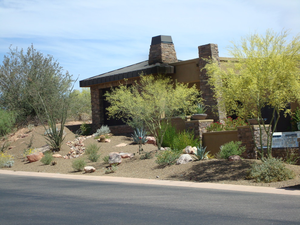 Photo of a contemporary landscaping in Phoenix.