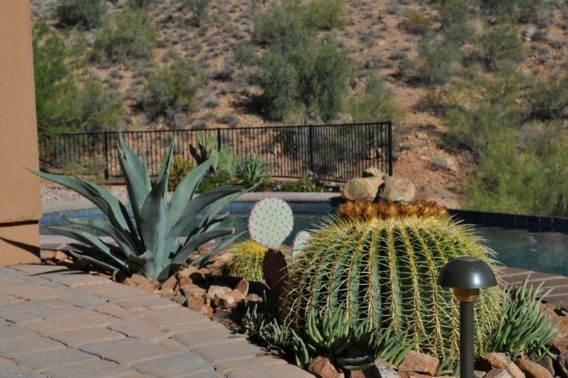 Photo of a mediterranean garden in Phoenix.