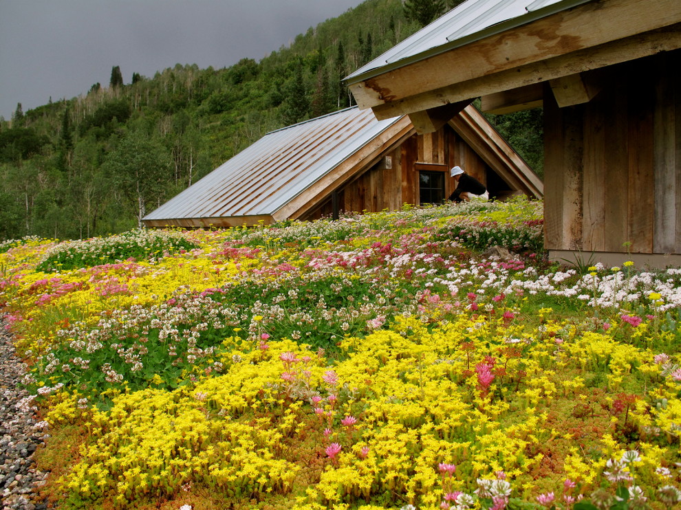 Cette photo montre un jardin sur toit montagne de taille moyenne avec une exposition partiellement ombragée.